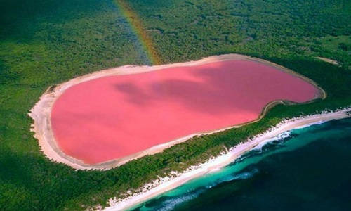 Ružičasto jezero Hillier